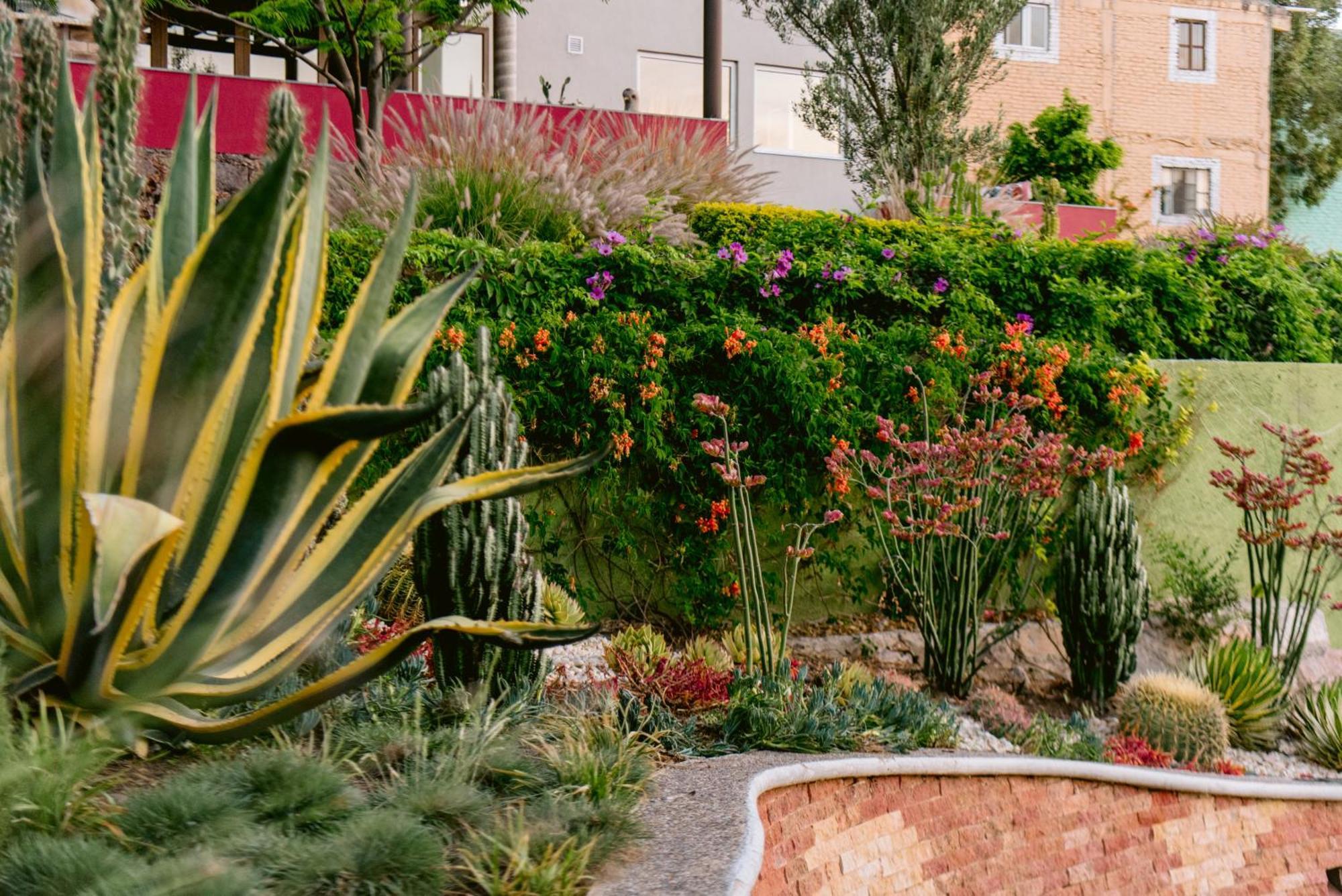Aparthotel Terra Vista Guanajuato Exteriér fotografie